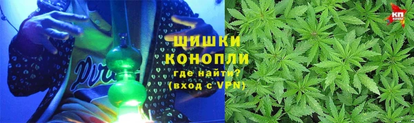 apvp Осинники