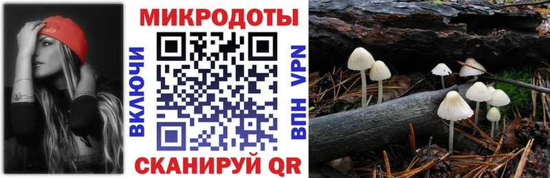 Галлюциногенные грибы Magic Shrooms  мега tor  Можга  купить наркотик 